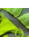 Scrunch Butt ! - Neon Lime | Kétrészes bikini szett