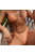 GoldenGlam | Kétrészes korallrózsaszín bikini szett