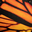 Orange wings