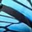 Blue wings